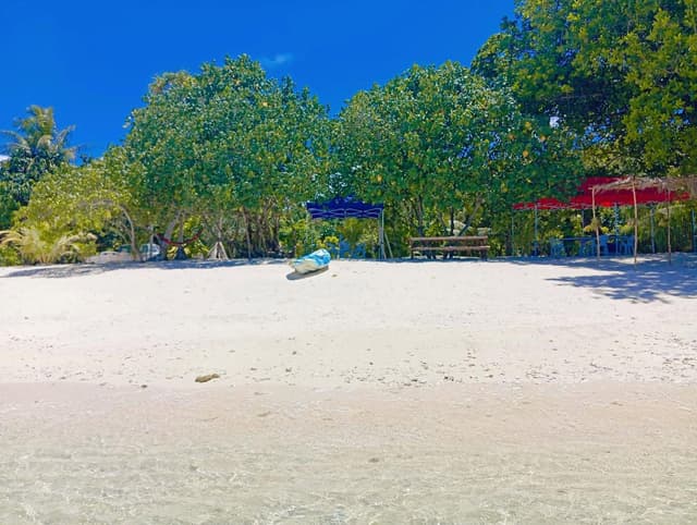 Pele Island Day Tour
